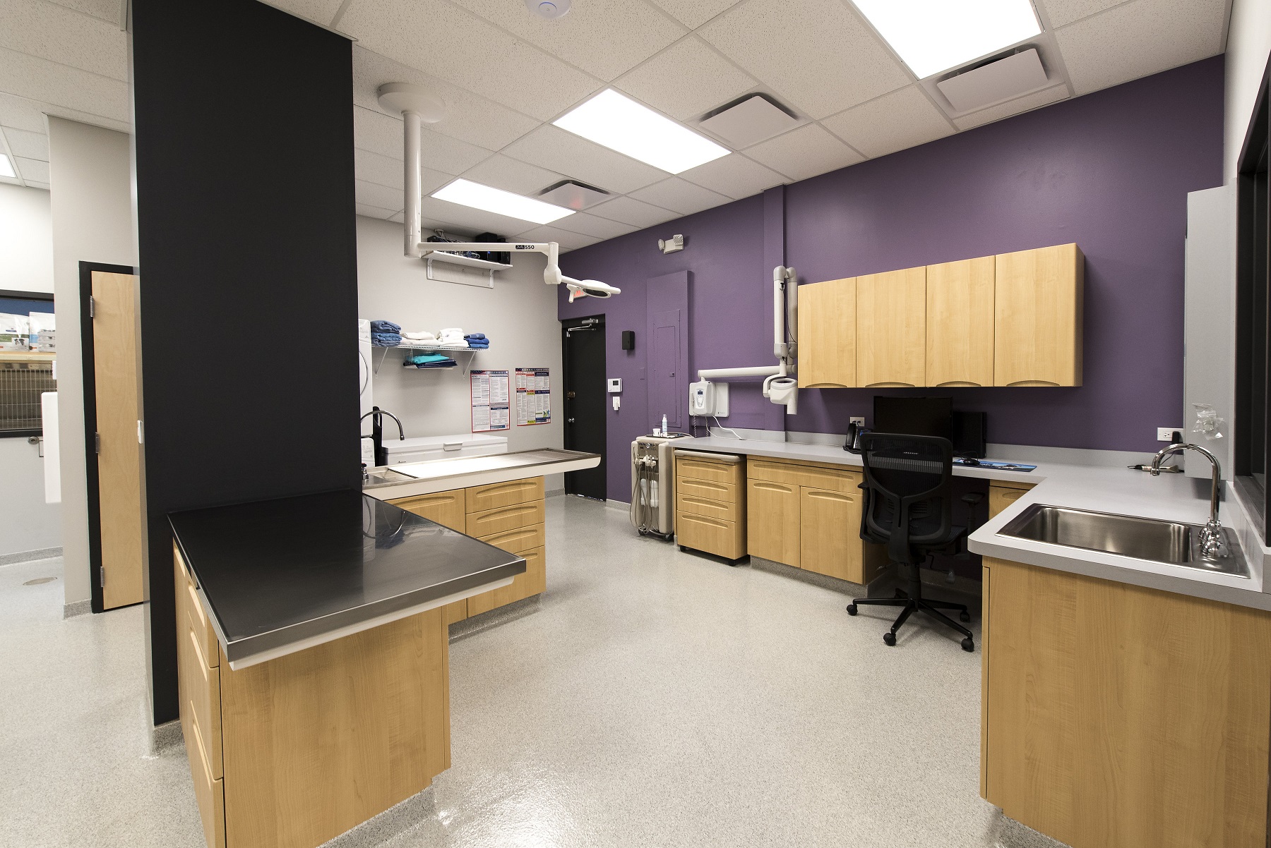 Tour Our Hospital | Welcome to Evanston Animal Hospital